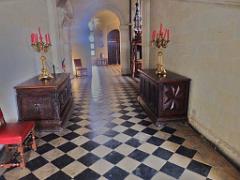 149 CHATEAU DE BRISSAC MAINE ET LOIRE 2016 N2_000028
